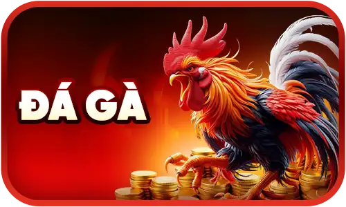 j88 đá gà
